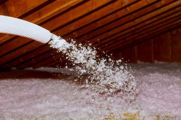 Best Insulation for Specific Applications in Ben Avon, SC