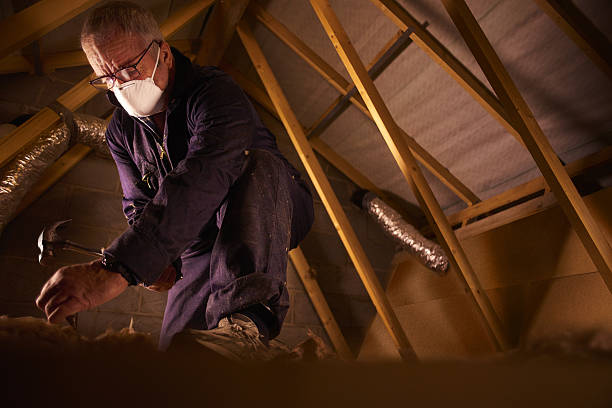 Best Insulation Maintenance and Repair in Ben Avon, SC