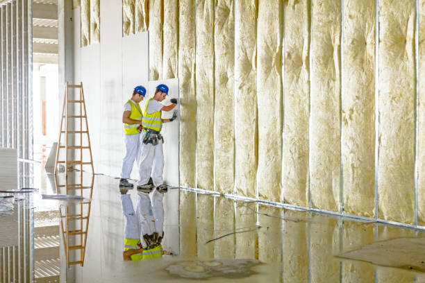 Best Types of Insulation in Ben Avon, SC